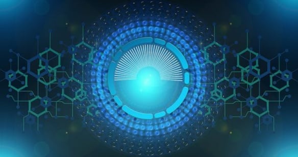 web security basics