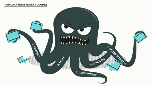 data_octopi